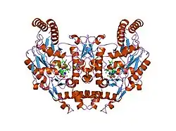 2g6n: Structure of rat nNOS heme domain (BH2 bound) complexed with CO