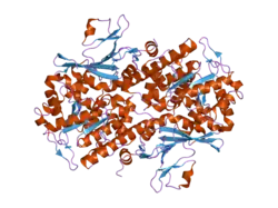 2g95: Crystal Structure of Visfatin/Pre-B Cell Colony Enhancing Factor 1/Nicotinamide Phosphoribosyltransferase