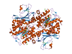 2h3b: Crystal Structure of Mouse Nicotinamide Phosphoribosyltransferase/Visfatin/Pre-B Cell Colony Enhancing Factor 1