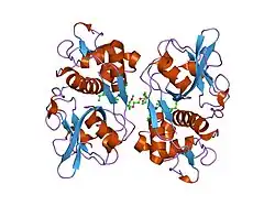 2h7j: Crystal Structure of Cathepsin S in complex with a Nonpeptidic Inhibitor.