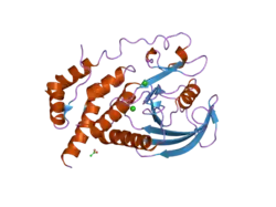 2hc1: Engineered catalytic domain of protein tyrosine phosphatase HPTPbeta.