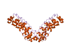2he0: Crystal structure of a human Notch1 ankyrin domain mutant