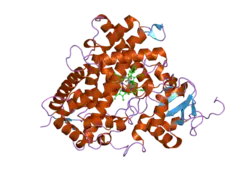 2hi4: Crystal Structure of Human Microsomal P450 1A2 in complex with alpha-naphthoflavone