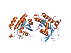 2ht6: Crystal structure of Human Gem G-domain bound to GDP