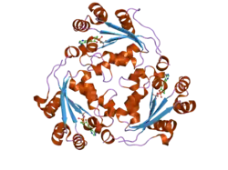 2hve: S120G mutant of human nucleoside diphosphate kinase A complexed with ADP
