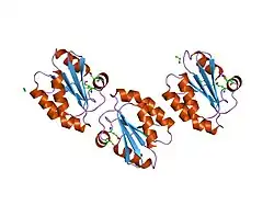 2hxk: Crystal structure of S-nitroso thioredoxin
