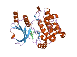 2hy8: PAK1 complex with ST2001