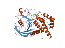 2i4g: Structural studies of protein tyrosine phosphatase beta catalytic domain in complex with a sulfamic acid (soaking experiment)