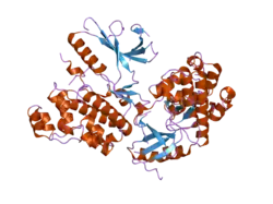 2i6l: Crystal structure of human mitogen activated protein kinase 6 (MAPK6)