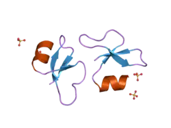 2nlf: Human beta-defensin-1 (Mutant Leu13Glu)