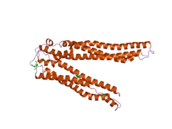 2ojq: Crystal structure of Alix V domain
