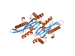 2p5x: Crystal structure of Maf domain of human N-acetylserotonin O-methyltransferase-like protein