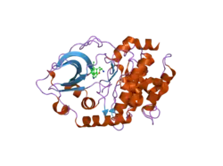 2uzw: PKA STRUCTURES OF INDAZOLE-PYRIDINE SERIES OF AKT INHIBITORS