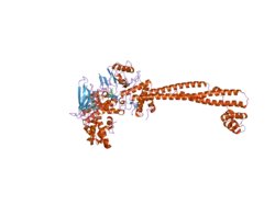2v1d: STRUCTURAL BASIS OF LSD1-COREST SELECTIVITY IN HISTONE H3 RECOGNITION