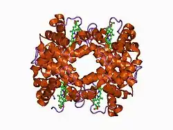 4hhb: THE CRYSTAL STRUCTURE OF HUMAN DEOXYHAEMOGLOBIN AT 1.74 ANGSTROMS RESOLUTION