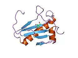 4rhn: HISTIDINE TRIAD NUCLEOTIDE-BINDING PROTEIN (HINT) FROM RABBIT COMPLEXED WITH ADENOSINE