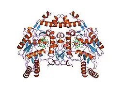 5nse: BOVINE ENDOTHELIAL NITRIC OXIDE SYNTHASE, H4B-FREE, HYDROXY-ARG COMPLEX