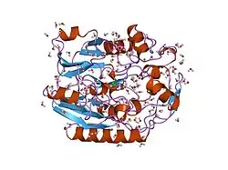 6jdw: CRYSTAL STRUCTURE OF HUMAN L-ARGININE:GLYCINE AMIDINOTRANSFERASE IN COMPLEX WITH GAMMA-AMINO BUTYRIC ACID