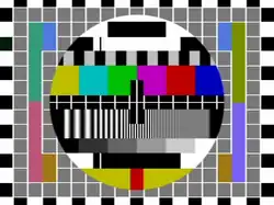 Recreation of NTSC variant as used in Philippines, Taiwan, and Haiti - The NTSC burst gate is visible in the border castellations (left border, second from the top), absence of PAL-specific signals, and different resolution gratings.