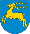 Kozienice