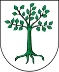 Kruszwica