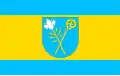Flag of Gmina Domaradz