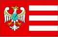 Flag of Gnieźnieński County