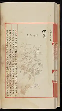 Chapters 10,110 to 10,112 of the 'Great encyclopaedia of the Yongle Reign'