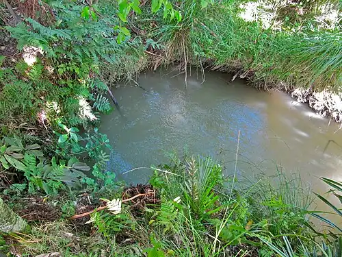 Pakihi Stream re-emerges from its 1&nbsp;km underground with just a few ripples