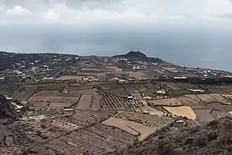 Arid landscape during summer