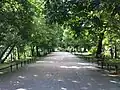 One of the avenues of the park in 2012.
