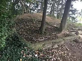 Partially Buried Woodshed remains, Kent, OH, US
