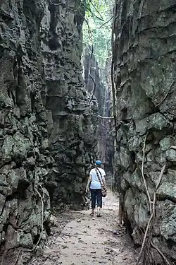 Path through Goera Ronggat