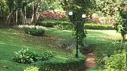 Pilikula Botanical Garden - Peace Lilies near the entrance