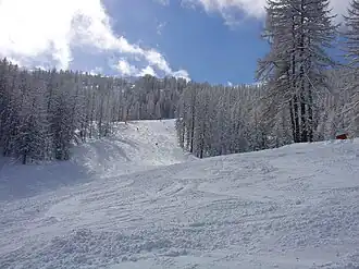 Ski run