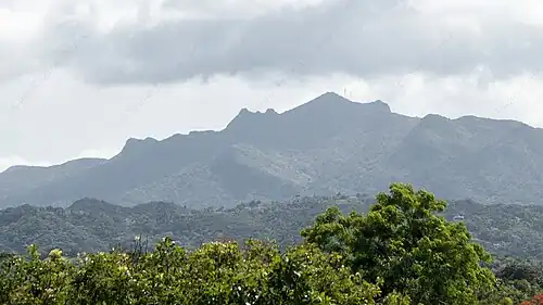 Corredor Ecológico del Este from PR-3 in Pitahaya