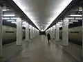 Bulvar Rokossovskogo, Moscow Metro station