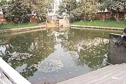 Pond of Bangla Academy.