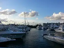 Port Lucaya Marina