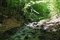 River Povlen, Middle Povlen