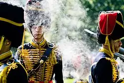 Soldier wearing the Field Artillery Corps ceremonial uniform during the firing of salute shots on Prinsjesdag.