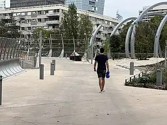 Rose de Cherbourg Sepotember 2023