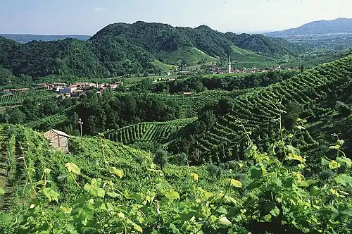 Prosecco Valley, UNESCO