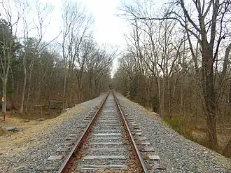 A straight railroad track extends into the distance. It is slightly elevated compared to the surrounding terrain, which is covered in trees. The trees are without leaves, indicating it is Winter.