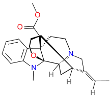 General structure of pseudoakuammigine.