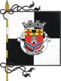 Flag of Sertã Town
