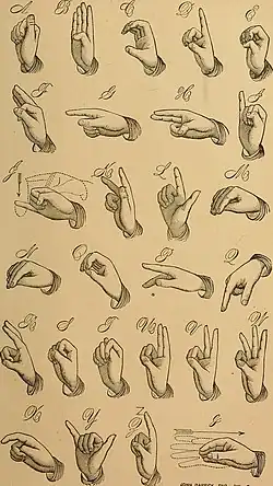 A drawing of the American Sign Language manual alphabet