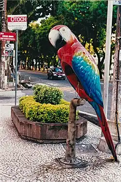 Telephone kiosk in Brazil, popularly called orelhão ("big ear") in the special form of an animal, here a parrot, in Belém, 2001