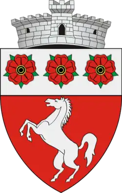 Coat of arms of Căiuți