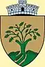 Coat of arms of Chișlaz